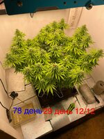 IMG_3615.jpeg