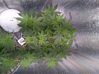 20260327_071943919.jpg