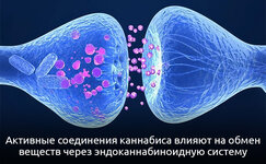 Uskorenie-metabolizma__wZadJXfZYPBi5Hcf.jpg