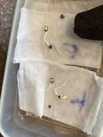 IMG_0193.jpeg