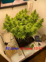 IMG_3675.jpeg