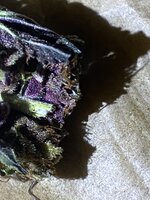 IMG_1107.jpeg