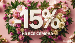 15%.jpg 15%.jpg