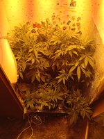IMG_20260403_103638.jpg