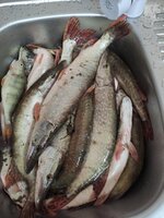 crop_3280476298209423384.jpg