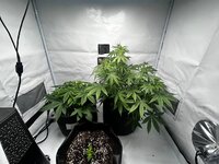 09.03.2026.jpg