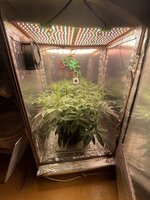 IMG_3819.jpeg