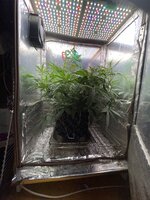 IMG_3827.jpeg