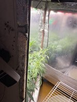 IMG_3841.jpeg