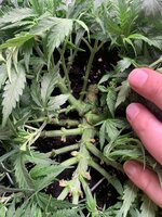 IMG_0457.jpeg