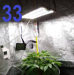 33.png