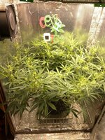 IMG_3881.jpeg