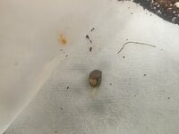 IMG_20260417_102057.jpg