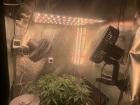 IMG_0534.jpeg