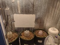 IMG_20260418_175955.jpg