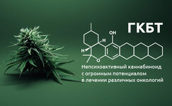 Chto-nam-izvestno-o-geksakannabitriole__yE22NTMs0U4M8RsA.jpg Chto-nam-izvestno-o-geksakannabitriole__yE22NTMs0U4M8RsA.jpg