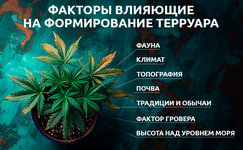 Kakie-faktory-vliyayut-na-formirovanie-terruara__puQjlG8X3hOfa4lZ.jpg Kakie-faktory-vliyayut-na-formirovanie-terruara__puQjlG8X3hOfa4lZ.jpg
