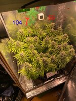 IMG_3994.jpeg