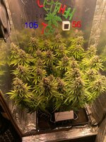 IMG_4010.jpeg