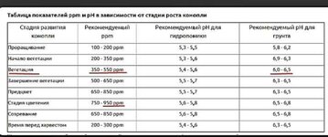 1000017769.jpg