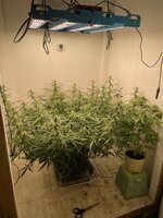 IMG_4026.jpeg