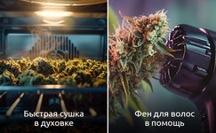 Sposoby-vysushit-promokshie-shishki-bystro__ScY6gTJy8YDgOiJC.jpg Sposoby-vysushit-promokshie-shishki-bystro__ScY6gTJy8YDgOiJC.jpg