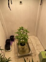 IMG_4053.jpeg