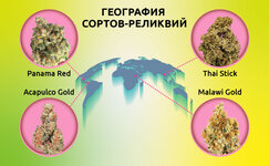 Sorta-relikvii__iUdLDIoPRsDWWGoL.jpg Sorta-relikvii__iUdLDIoPRsDWWGoL.jpg