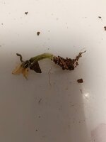 IMG_20260426_215734.jpg