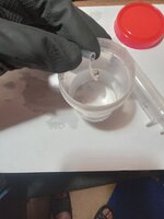 20260426_161227156.jpg 20260426_161227156.jpg