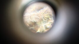 1000118106.jpg