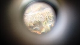 1000118105.jpg
