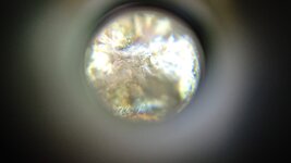 1000118104.jpg