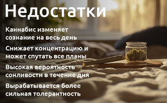 nedostatki-ispolzovaniya-kannabisa-utrom__QwsaGEGSa0Y98jaG.jpg nedostatki-ispolzovaniya-kannabisa-utrom__QwsaGEGSa0Y98jaG.jpg