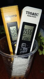 1000118273.jpg
