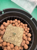 4 — копия.JPG