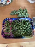 IMG_5793.jpeg