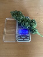 IMG_5790.jpeg