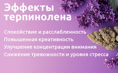 ehffekty-terpinolena__MoKDWoWTsW60YU3a.jpg