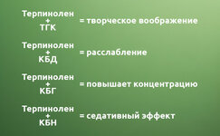 tgk-kbd-kbn-i-kbg__mPiHo4oomNUyKjA8.jpg