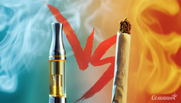 veyping-vs-klassicheskoe-szhiganie-konopli__NbNCpJMLGINtQlfe.jpg veyping-vs-klassicheskoe-szhiganie-konopli__NbNCpJMLGINtQlfe.jpg