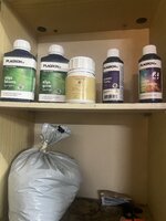 IMG_2704.jpeg