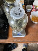 IMG_4160.jpeg