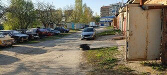62172.jpg