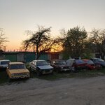 62173.jpg