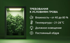 Usloviya-okruzhayushej-sredy-i-problemy,-svyazannye-s-nimi__SdThJ9iTB5pr44Z2.jpg Usloviya-okruzhayushej-sredy-i-problemy,-svyazannye-s-nimi__SdThJ9iTB5pr44Z2.jpg