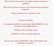 IMG_7216.jpeg