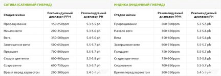 IMG_7214.jpeg