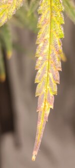 IMG_20260512_090313.jpg