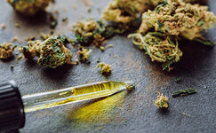 Mikrodozing-kannabisa__ZCoyzMPaoACNEcOV.jpg Mikrodozing-kannabisa__ZCoyzMPaoACNEcOV.jpg